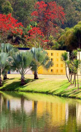 inhotim-cidades-historicas-mg-marlei